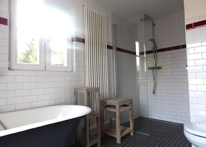 Obstwiese & Sonnenschein