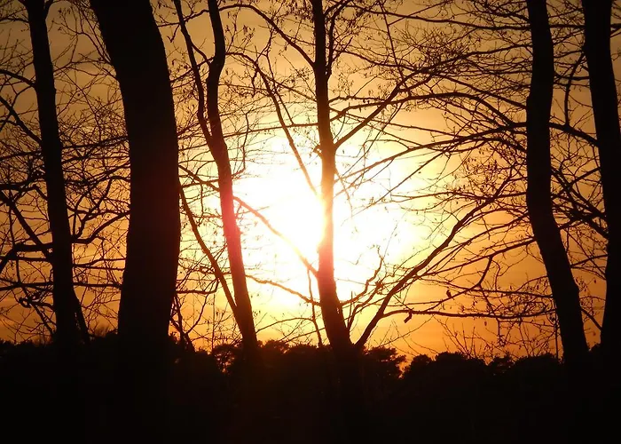 Obstwiese & Sonnenschein * Himmelpfort